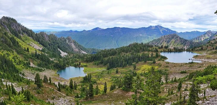 How to Explore Olympic National Park Without a Car